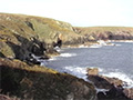 Coastal Adventures in Watercolour - David Bellamy