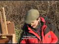 Light in the Landscape - David Curtis